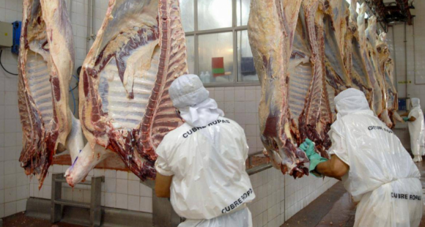Exportaciones de carne: el Gobierno prohibi&oacute; por dos a&ntilde;os la venta al exterior de siete cortes parrilleros