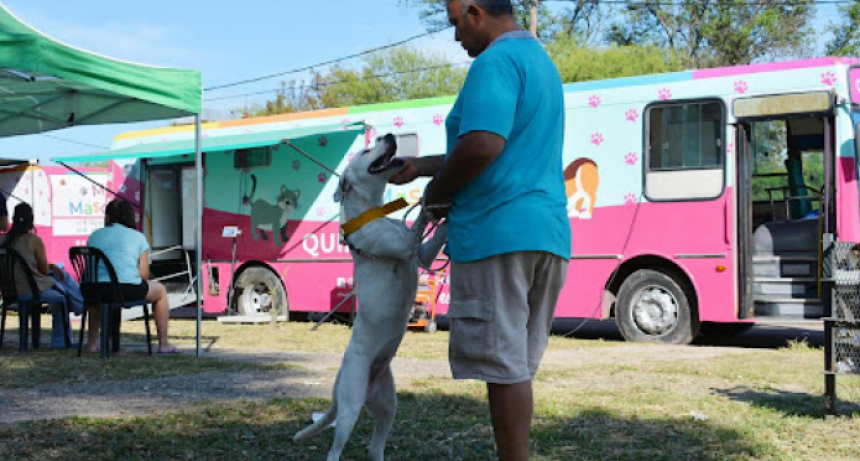 Vuelven las castraciones gratuitas para mascotas: d&iacute;a, horario y barrio en el que se realizar&aacute;