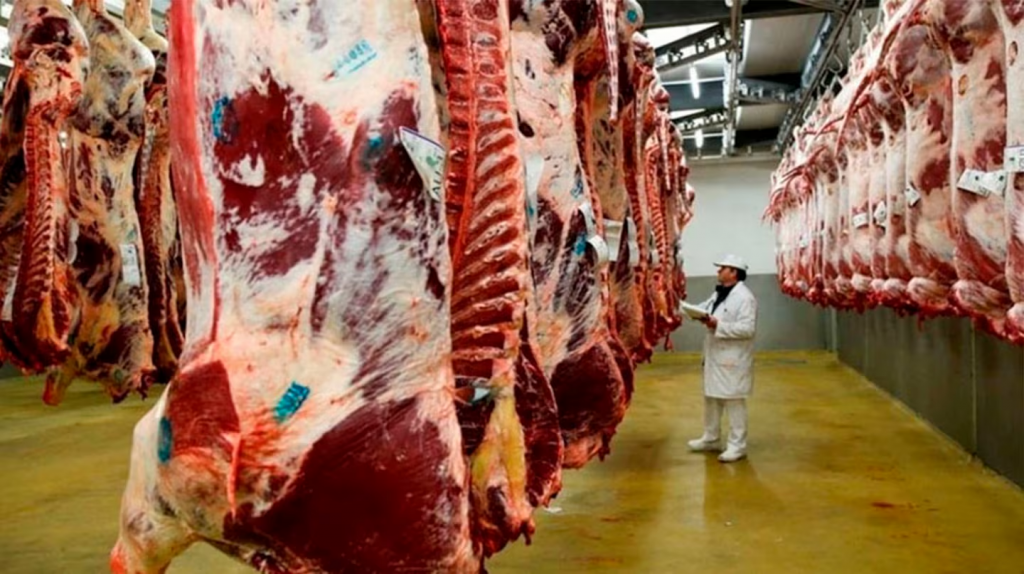 Carnes y l&aacute;cteos: 2025 cerr&oacute; con m&aacute;s consumo, r&eacute;cord de divisas y se&ntilde;ales mixtas en la producci&oacute;n
