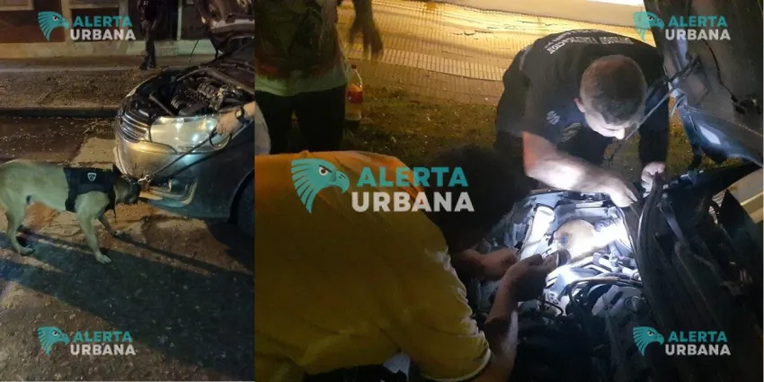 Recuperaron en S&aacute;enz Pe&ntilde;a un autom&oacute;vil robado en Buenos Aires