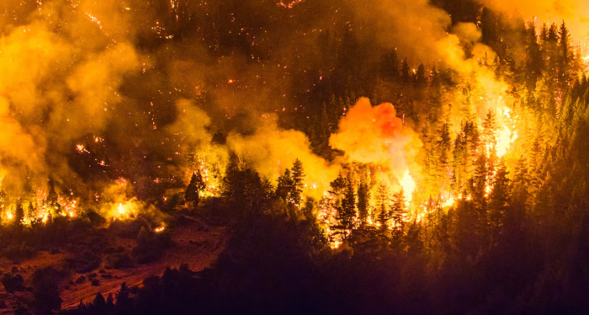 Incendios en Chubut: la investigaci&oacute;n confirm&oacute; hallazgos de combustible donde se inici&oacute; el fuego