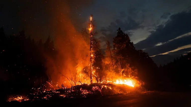 Chubut ya perdi&oacute; 22 mil hect&aacute;reas por los incendios y advierten que &ldquo;los bosques nativos est&aacute;n desapareciendo&rdquo;