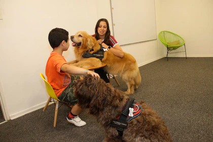 Le levant&oacute; la oreja y se anim&oacute; a contar lo que hab&iacute;a vivido: Brownie, Donna y el rol de los perros de terapia para asistencia judicial