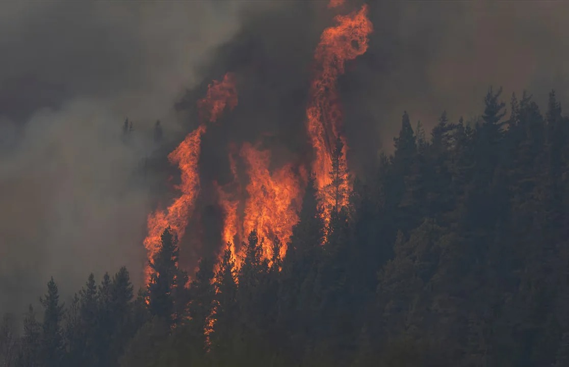 Ola de calor en Chubut en medio de la crisis por los incendios forestales