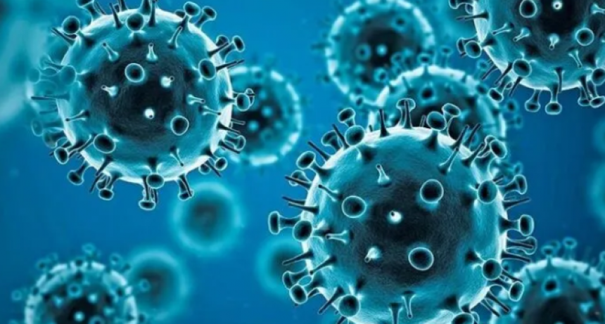Coronavirus: contin&uacute;a la tendencia descendente de contagios en las provincias