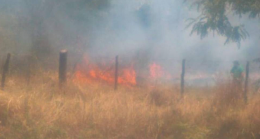 Los incendios no cesan en Corrientes y el humo cubri&oacute; Resistencia y sus alrededores