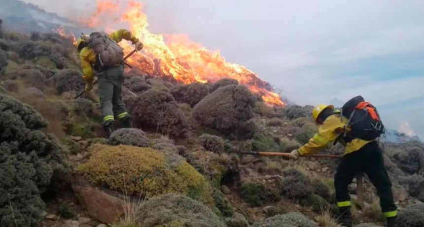 El Gobierno incluy&oacute; a Santa Cruz en la emergencia por los incendios forestales