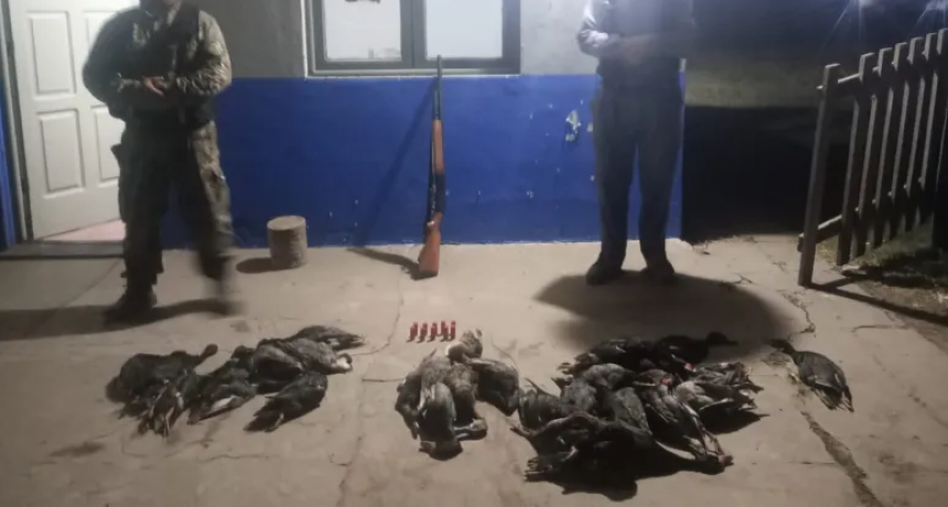 Cazador ilegal sorprendido con 30 patos muertos en Villa &Aacute;ngela