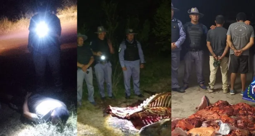 Abigeato en S&aacute;enz Pe&ntilde;a: hallan 65 kilos de carne de caballo y detienen a dos sospechosos