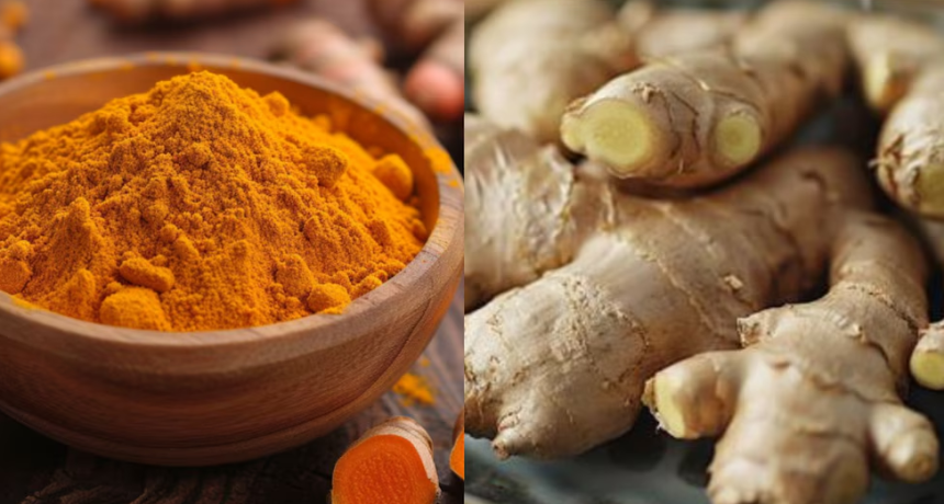 Los beneficios para la salud de la c&uacute;rcuma y el jengibre, respaldados por la ciencia