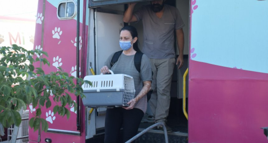 La castraci&oacute;n gratuita de mascotas pas&oacute; por el barrio Cosecha y este jueves llega al Palermo II de Resistencia