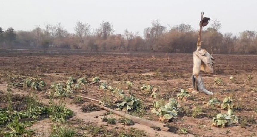 Por la sequ&iacute;a, declararon la emergencia agropecuaria en 16 departamentos chaque&ntilde;os