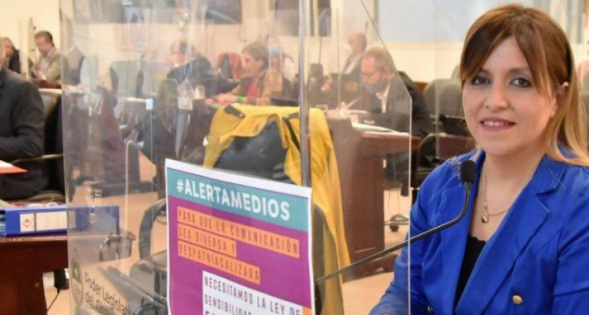 La diputada Jessica Ayala se refiri&oacute; al D&iacute;a Nacional de la Lucha Contra la Violencia de G&eacute;nero en los Medios