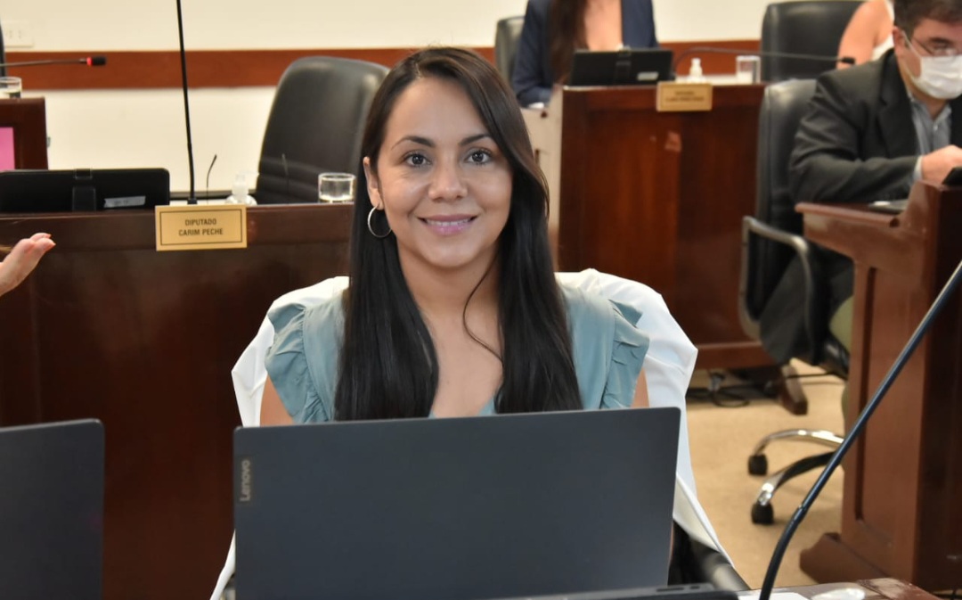 Legislatura: buscan establecer una gu&iacute;a de acompa&ntilde;amiento para la atenci&oacute;n de duelos perinatales y neonatales