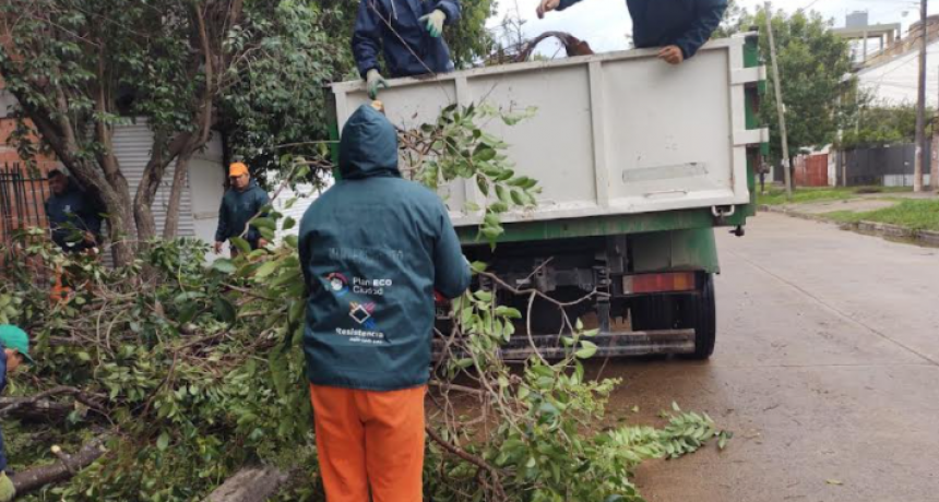 Resistencia sin mayores inconvenientes por el fuerte temporal de lluvia y viento que azot&oacute; la ciudad
