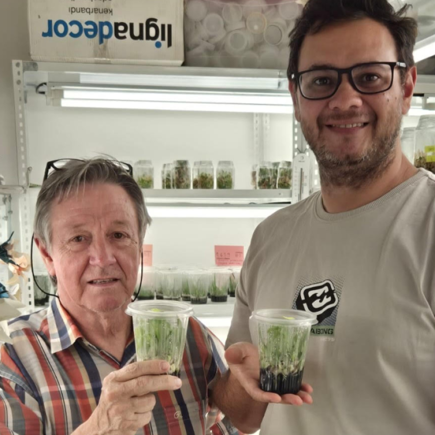 Identifican una orqu&iacute;dea terrestre de distribuci&oacute;n restringida en Corriente