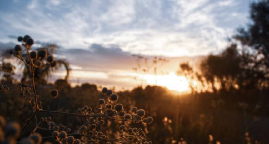 El fin de semana inici&oacute; soleado pero hay pron&oacute;stico de tormentas desde la tarde y durante todo el domingo