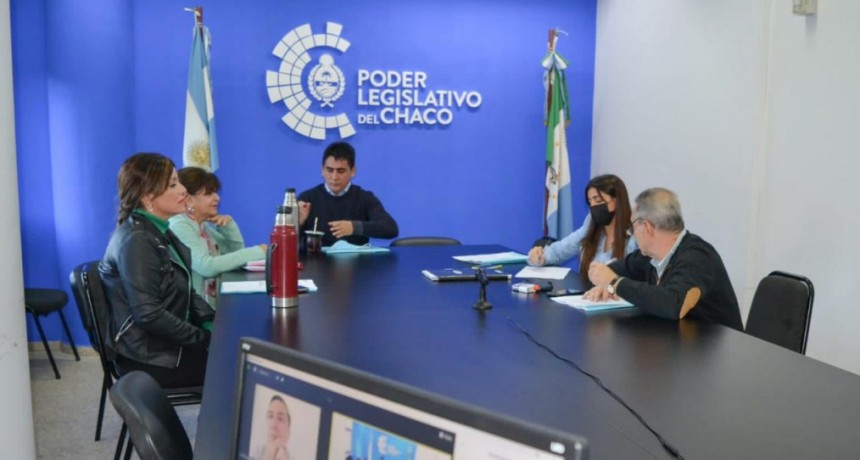 La diputada Jessica Ayala encabezar&aacute; la Comisi&oacute;n de Recursos Naturales y Ambiente