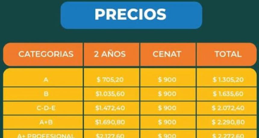 Resistencia: requisitos para la obtenci&oacute;n de la primera licencia de conducir