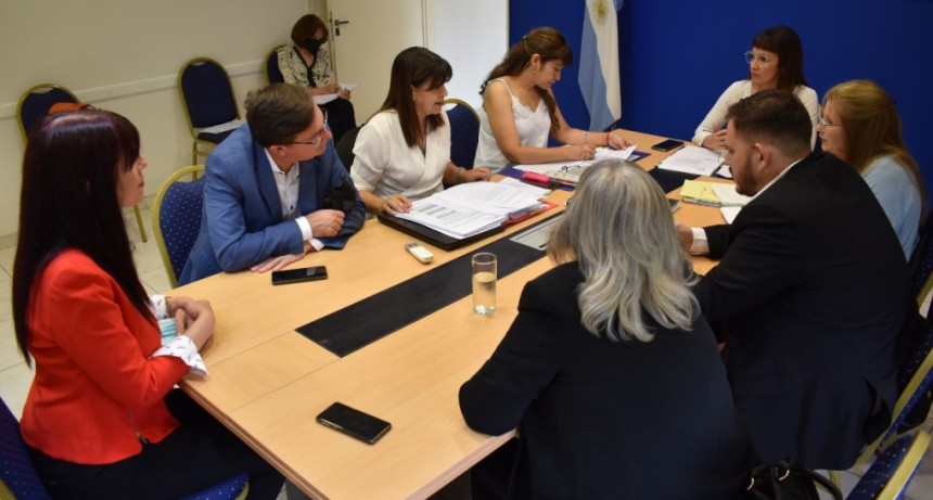 La Comisi&oacute;n de Educaci&oacute;n trat&oacute; proyectos en beneficio de la ciudad de Charata