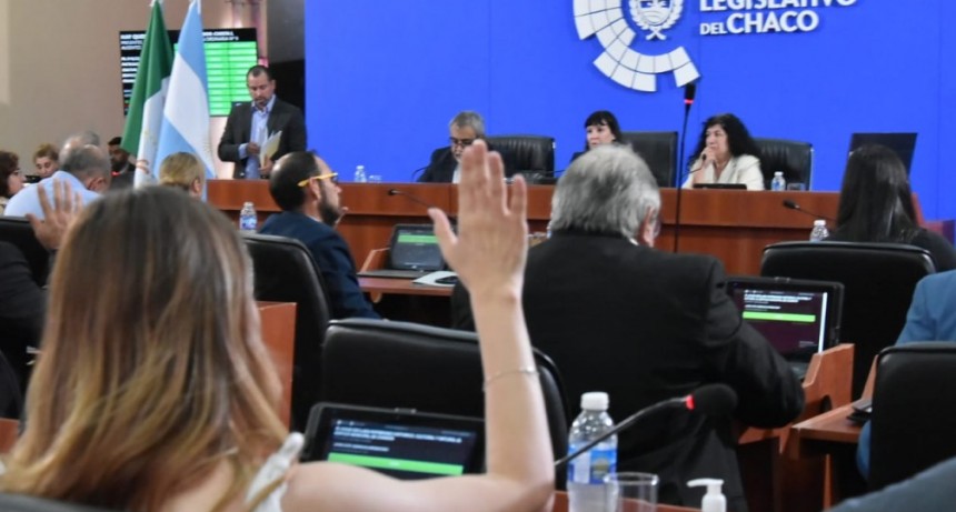 El radicalismo destac&oacute; la reapertura de la Legislatura al pueblo