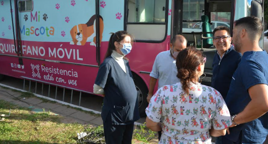 Creaci&oacute;n del Hospital Veterinario y eliminaci&oacute;n de la tracci&oacute;n a sangre en Resistencia, los anuncios en el d&iacute;a del animal