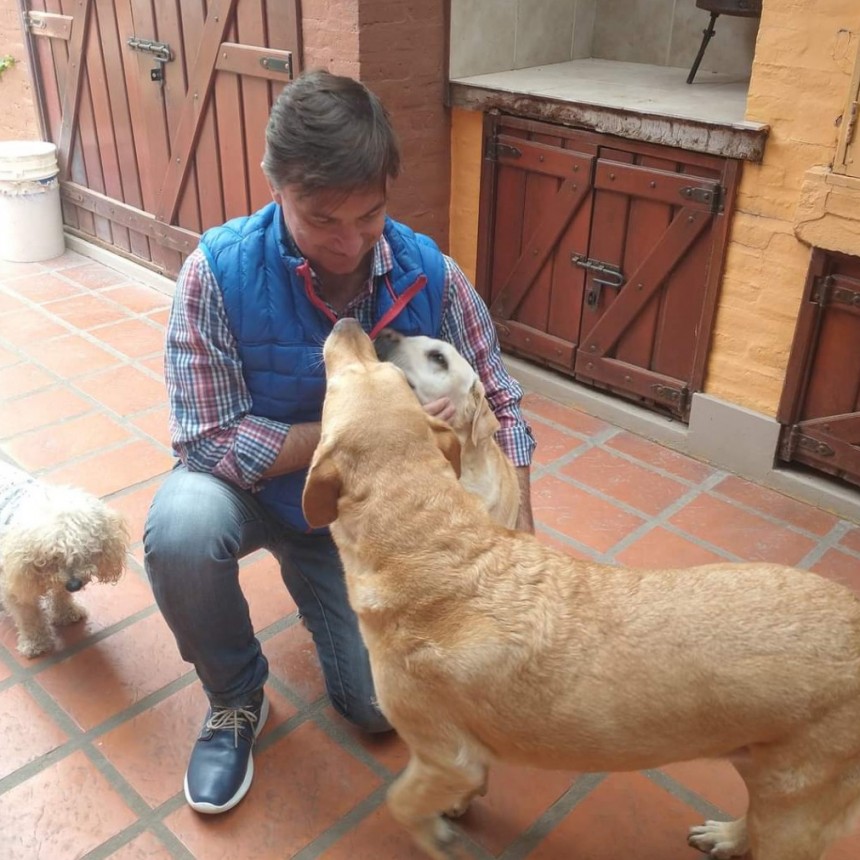 Livia Guti&eacute;rrez propone una ley de cuidado de animales urbanos. Castraci&oacute;n y Vacunaci&oacute;n