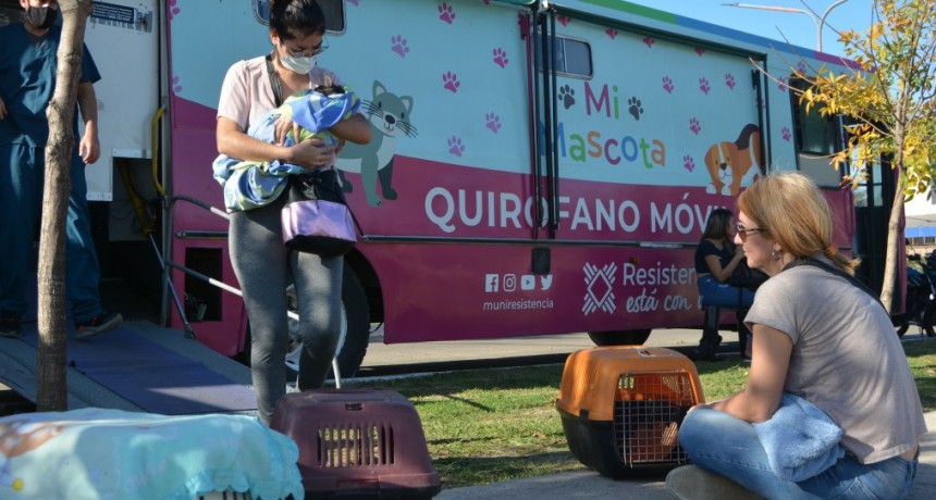 Mi Mascota: este viernes contin&uacute;a la castraci&oacute;n gratuita de mascotas en el Barrio Insssep