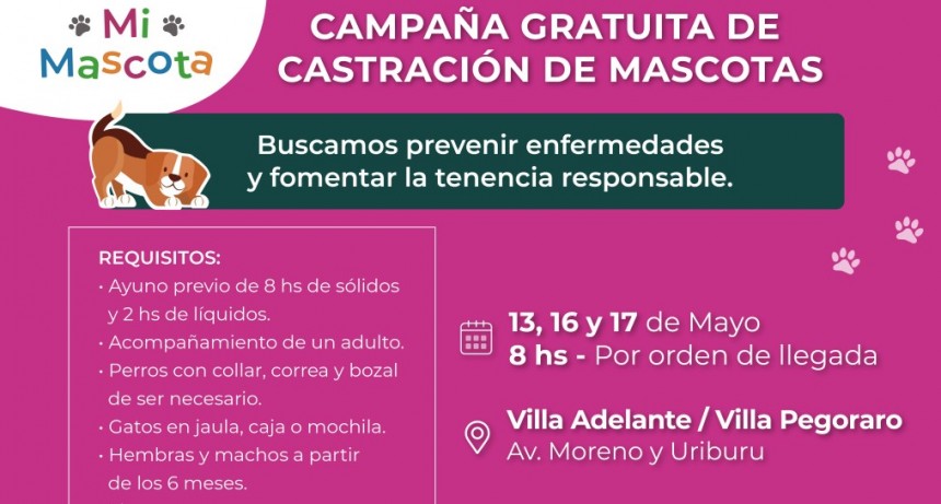 &ldquo;Mi Mascota&rdquo;: la castraci&oacute;n gratuita llega este viernes a Villa Pegoraro 