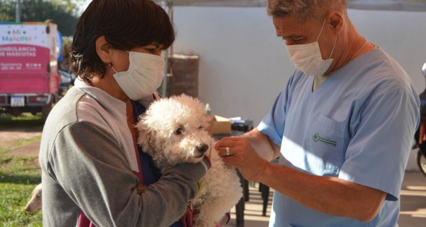 En Resistencia contin&uacute;a este lunes en Villa Pegoraro con la castraci&oacute;n gratuita de mascotas