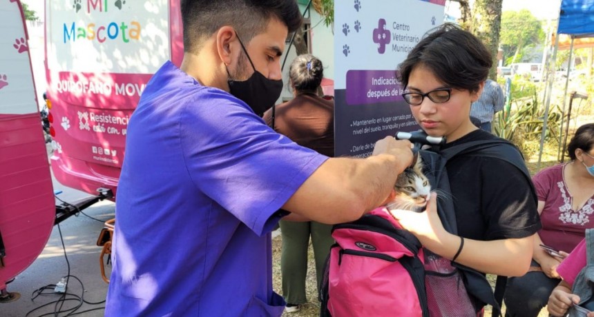 Este viernes, Resistencia estar&aacute; en el barrio Juan  D. Per&oacute;n con la castraci&oacute;n gratuita de mascotas