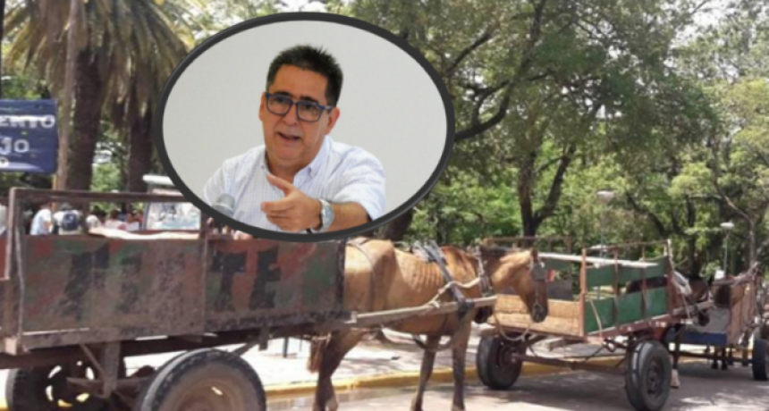 Gustavo Mart&iacute;nez pidi&oacute; "prohibir la tracci&oacute;n a sangre" tras el accidente en el que sacrificaron a una yegua pre&ntilde;ada