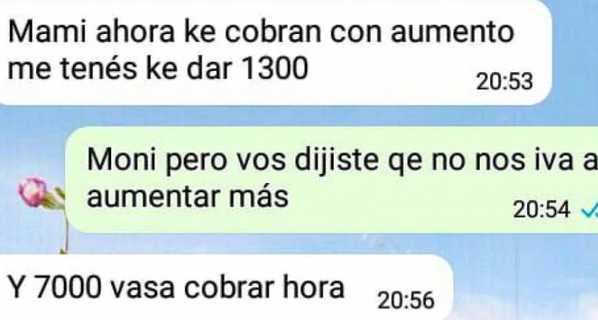 Una dirigente social fue denunciada por pedir un porcentaje de la Renta M&iacute;nima de una beneficiaria