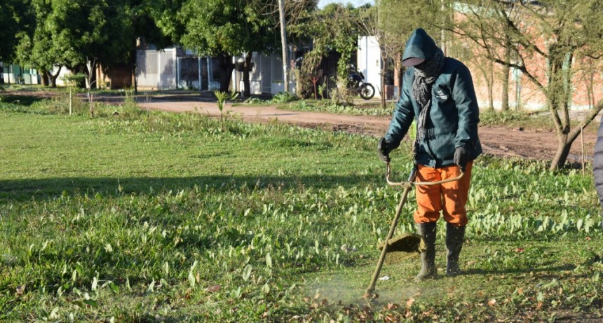 La Municipalidad de Resistencia realiz&oacute; desmalezado en la Zona Sur