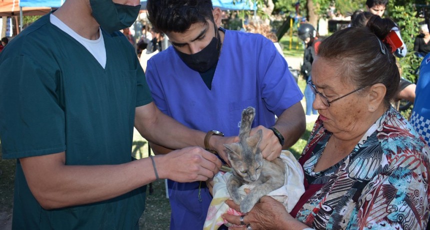 La castraci&oacute;n gratuita de mascotas estar&aacute; este martes y mi&eacute;rcoles en el Barrio 400 viviendas Soesgype de Resistencia