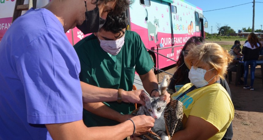 Mi Mascota: la castraci&oacute;n gratuita llega al Barrio Don Bosco en Resistencia