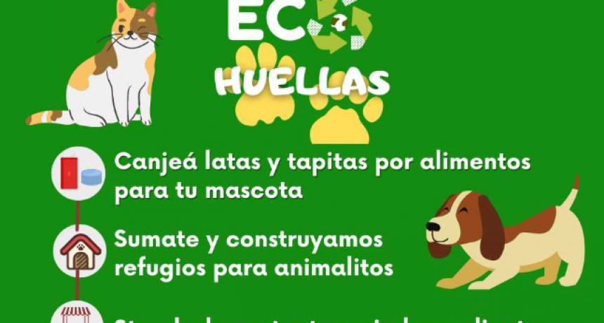 Este s&aacute;bado, jornada de canje ecol&oacute;gico &ldquo;Eco Huellas&rdquo; en Resistencia