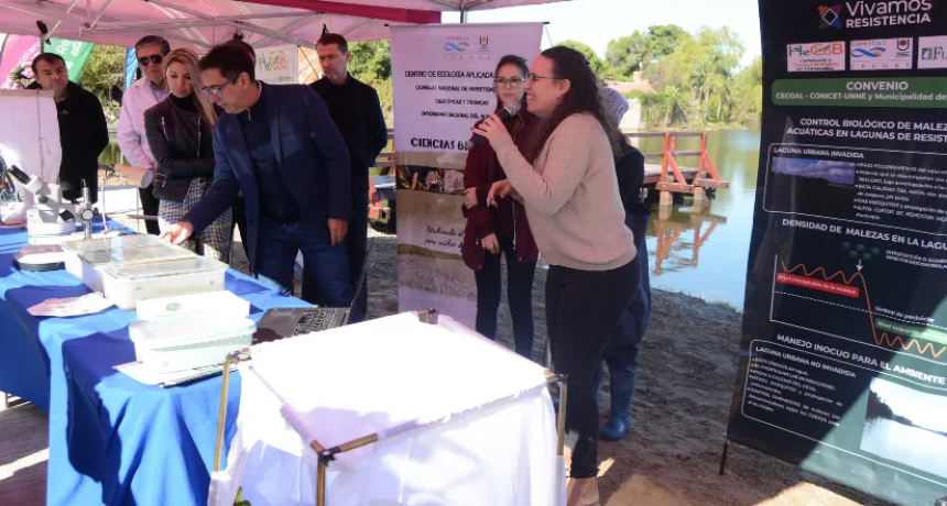 El Municipio junto al Conicet controlaran biol&oacute;gicamente las malezas acu&aacute;ticas en las lagunas urbanas