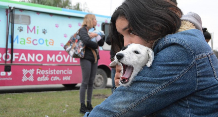  La castraci&oacute;n gratuita de mascotas llega este viernes al Barrio Nuevo Amanecer 