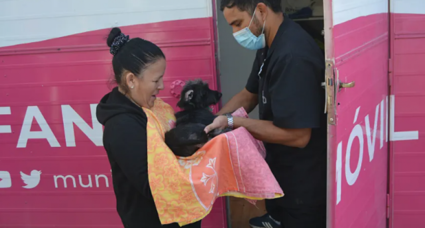 Hasta el 1&deg; de julio, el programa "Mi Mascota" estar&aacute; en el barrio Ren&eacute; Favaloro de Resistencia