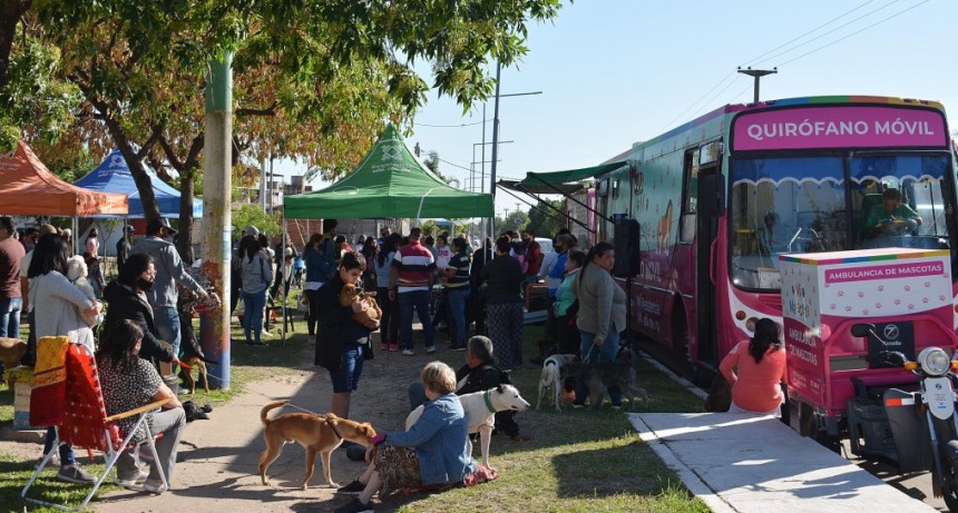 El programa de castraci&oacute;n gratuita de mascotas de resistencia contin&uacute;a en El Barrio 80 Viviendas