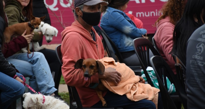 El programa de castraci&oacute;n gratuita recorre los barrios de Resistencia para incentivar la tenencia responsable de mascotas