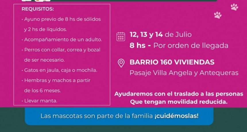 Este martes, Resistencia realizar&aacute; castraciones gratuitas de mascotas en el Barrio 160 Viviendas 