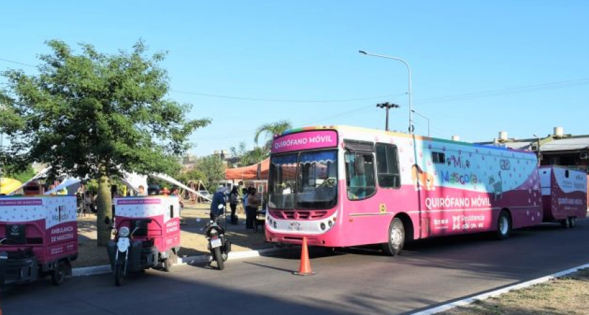Este lunes, el municipio de Resistencia realizar&aacute; castraci&oacute;n gratuita de mascotas en Villa Ercilia