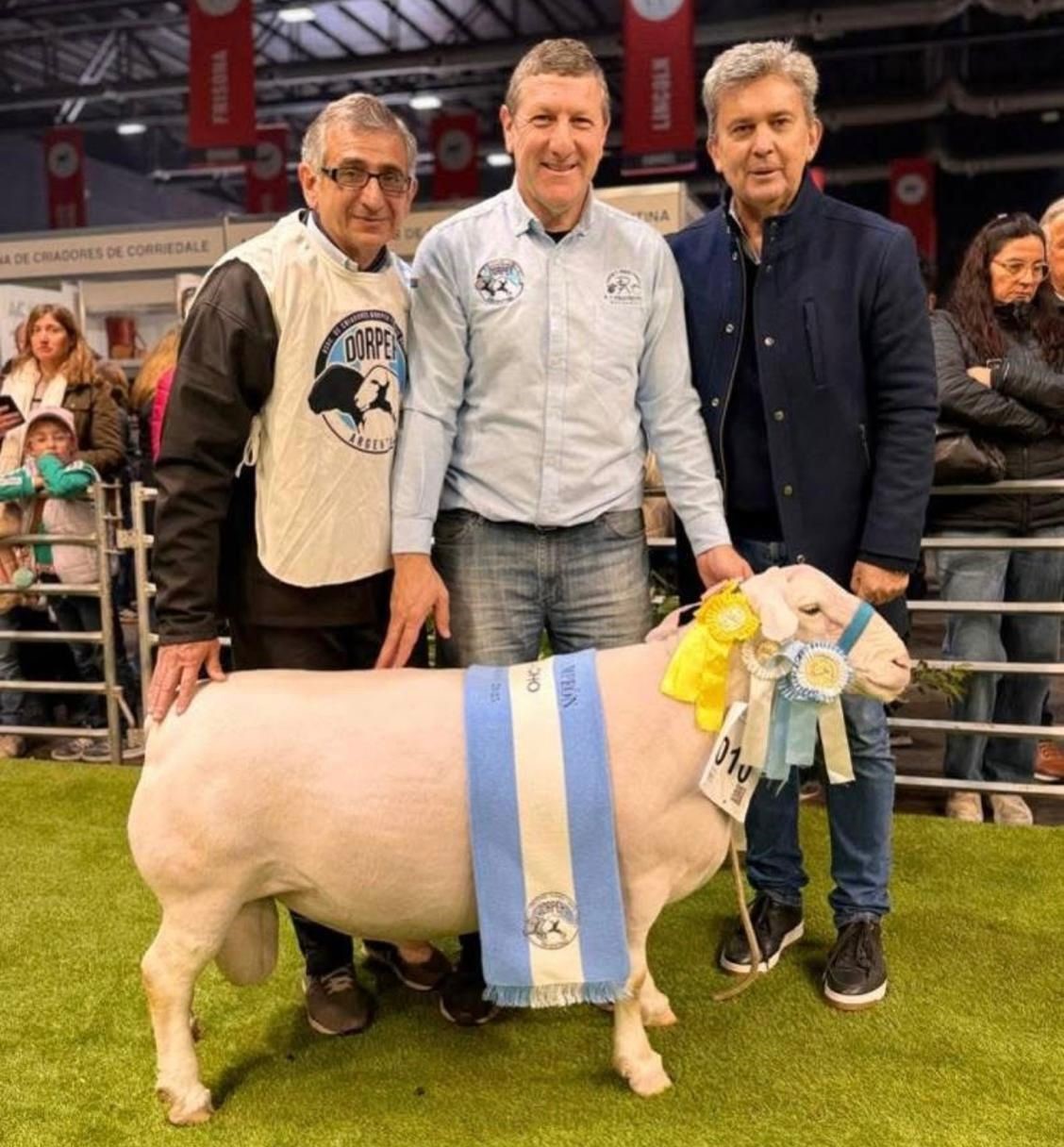  Chaco logr&oacute; un Gran Campe&oacute;n Macho en La Rural