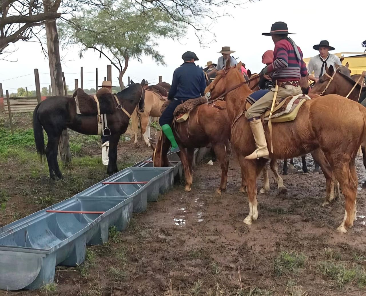 El programa Dejando Huellas acompa&ntilde;&oacute; la Cabalgata de la Fe