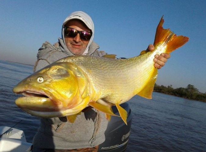 Todo listo para la Fiesta Nacional del Dorado en Paso de la Patria