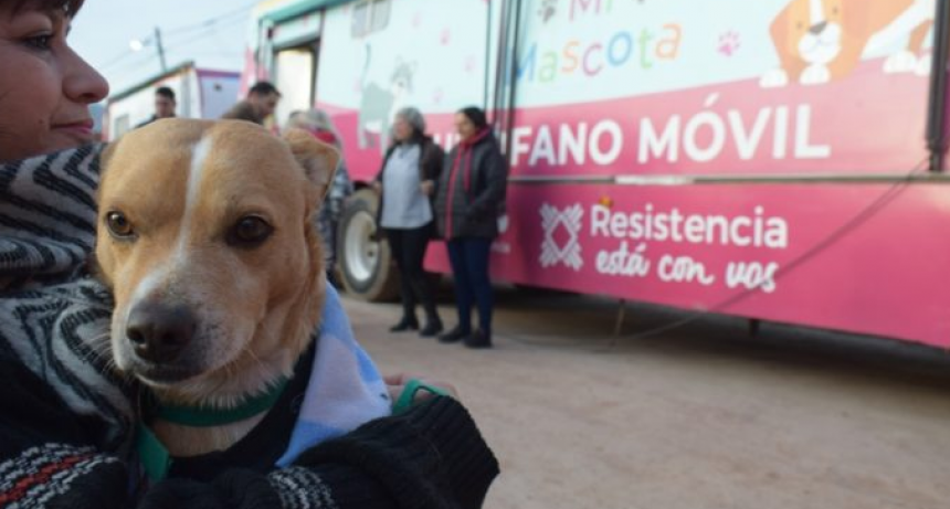 Desde este jueves la castraci&oacute;n de mascotas se har&aacute; en Villa Seitor