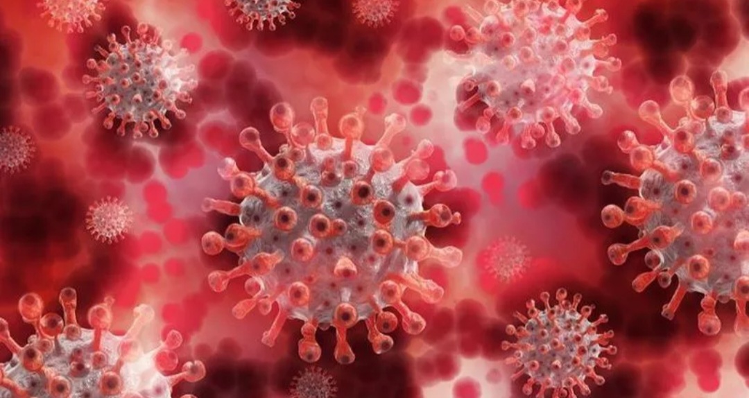 Coronavirus: se report&oacute; un fallecido y 1.907 nuevos casos en la &uacute;ltima semana en el Chaco