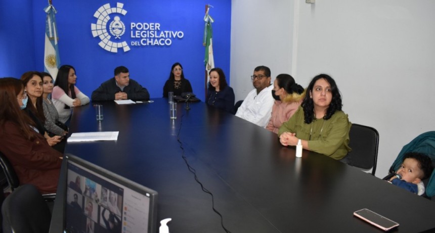 La Comisi&oacute;n de Salud recibi&oacute; a especialistas en Hemoterapia, Bioqu&iacute;micos y a la Fundaci&oacute;n Cabildo Abierto